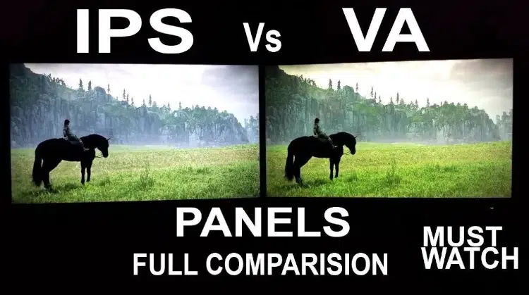 va vs ips